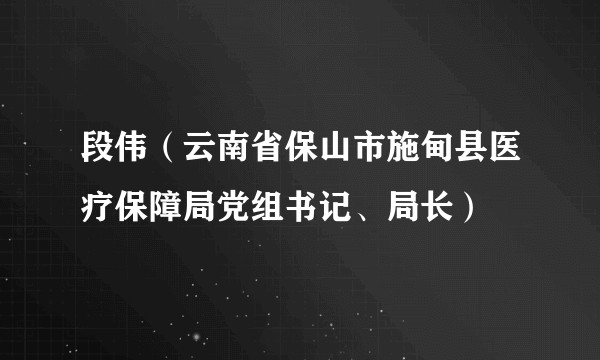 段伟(云南省保山市施甸县医疗保障局党组书记、局长)