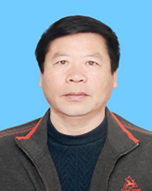 王彬(蒙阴县教育和体育局局长、党组书记)