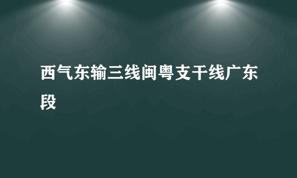 西气东输三线闽粤支干线广东段