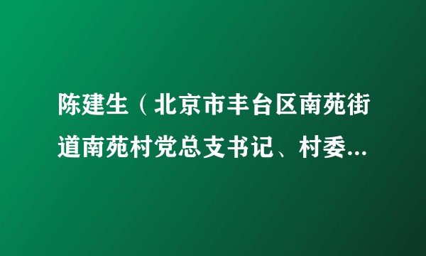 陈建生（北京市丰台区南苑街道南苑村党总支书记、村委会主任，北京中恒金苑投资管理公司董事长）