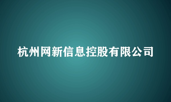 杭州网新信息控股有限公司