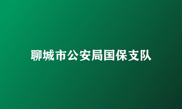 聊城市公安局国保支队