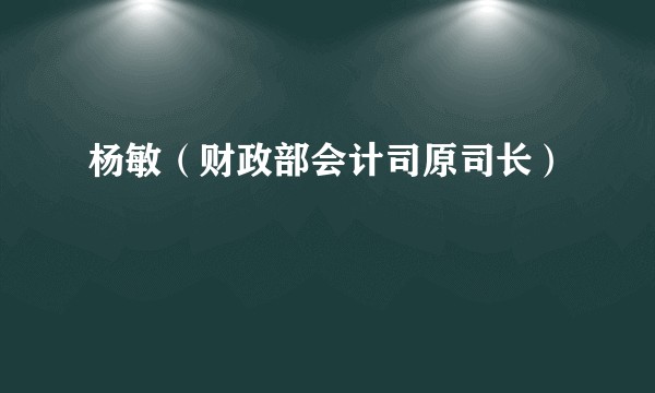 杨敏（财政部会计司原司长）