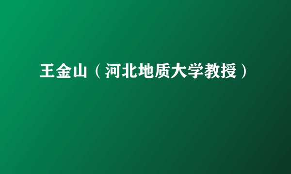 王金山（河北地质大学教授）