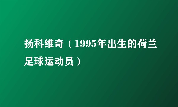 扬科维奇（1995年出生的荷兰足球运动员）