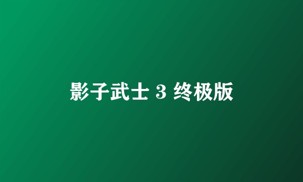 影子武士 3 终极版