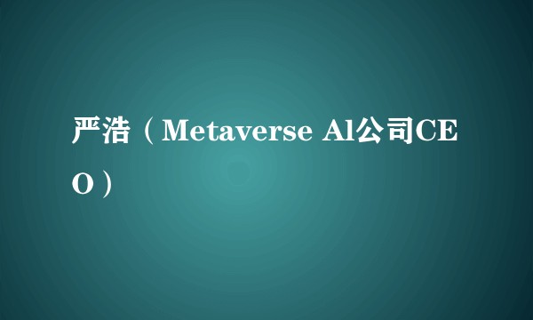 严浩（Metaverse Al公司CEO）