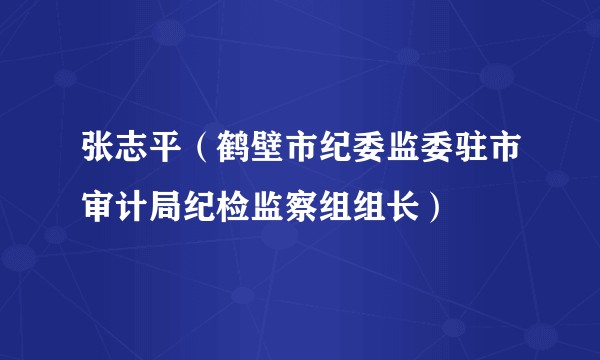 张志平(鹤壁市纪委监委驻市审计局纪检监察组组长)