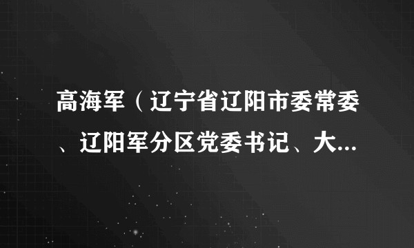 高海军（辽宁省辽阳市委常委、辽阳军分区党委书记、大校政治委员）