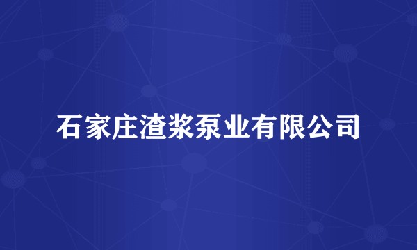 石家庄渣浆泵业有限公司