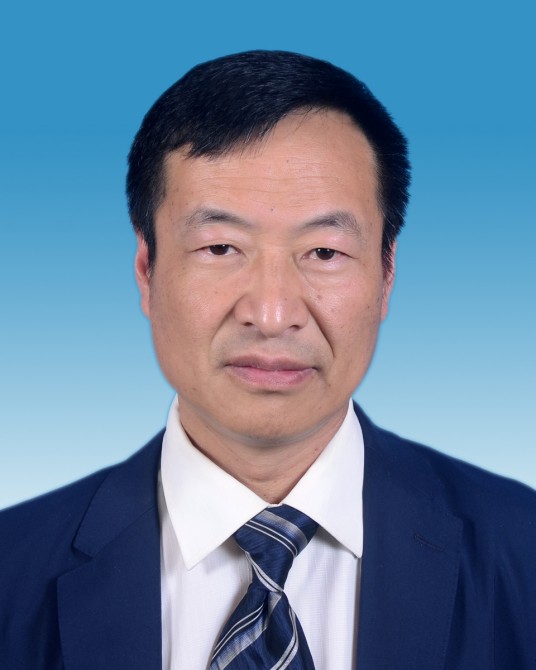 张劲松（云南省云龙县人民政府原副县长）