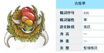 古拉苗