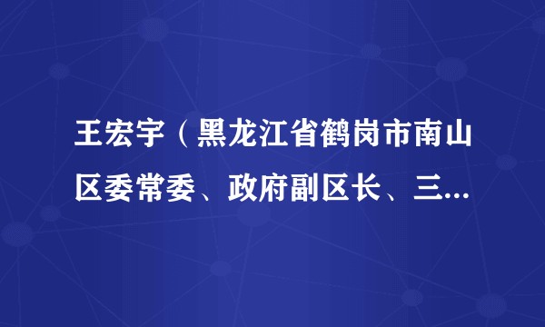 王宏宇（黑龙江省鹤岗市南山区委常委、政府副区长、三级调研员）