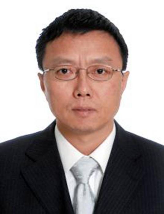 冯军（中航工业第一飞机设计研究院副院长）