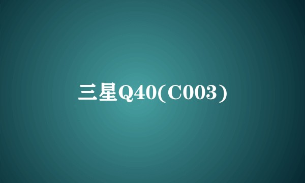 三星Q40(C003)