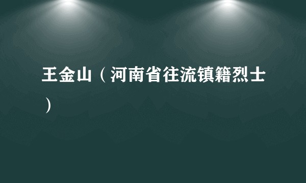 王金山（河南省往流镇籍烈士）