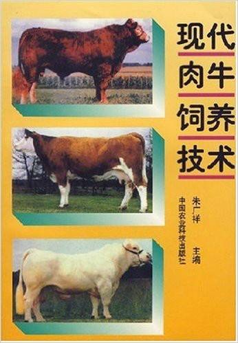 现代肉牛饲养技术