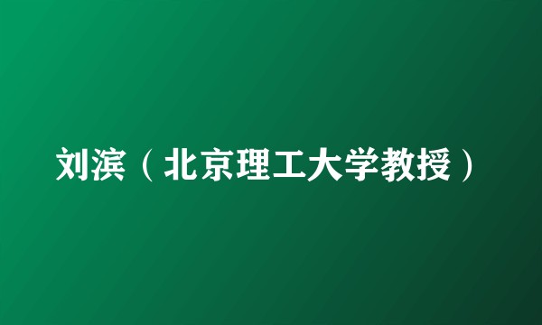 刘滨（北京理工大学教授）