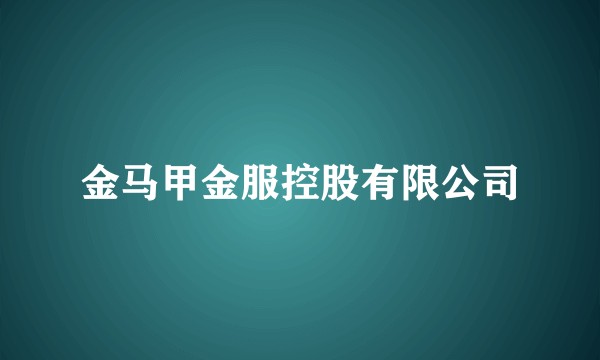 金马甲金服控股有限公司