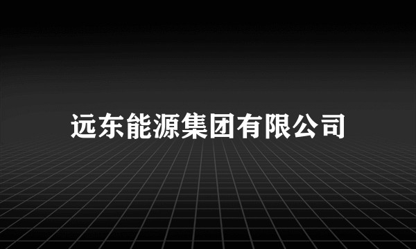 远东能源集团有限公司