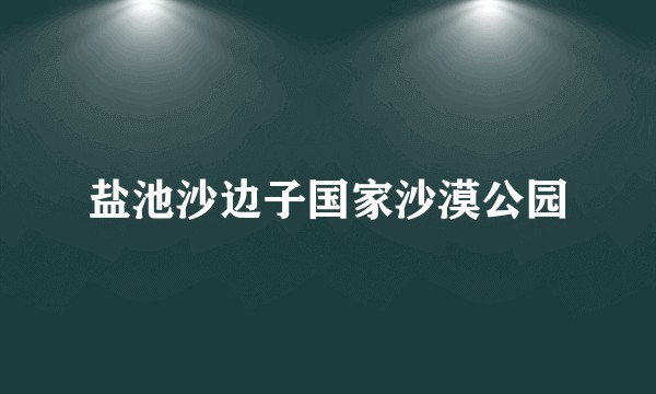 盐池沙边子国家沙漠公园