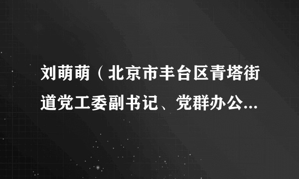 刘萌萌（北京市丰台区青塔街道党工委副书记、党群办公室主任）
