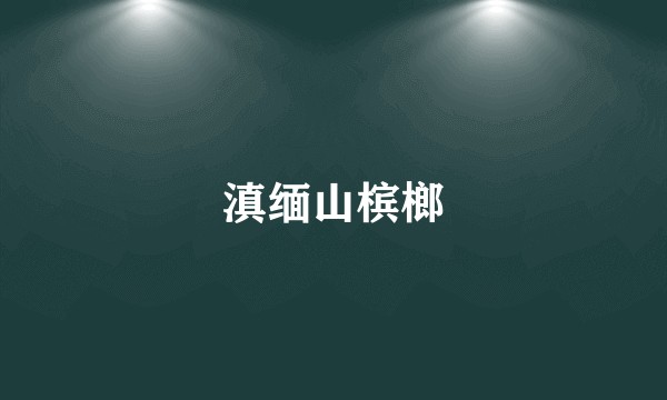 滇缅山槟榔