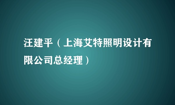 汪建平（上海艾特照明设计有限公司总经理）