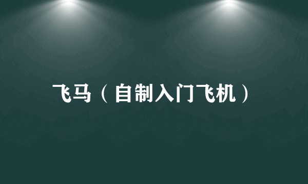 飞马（自制入门飞机）