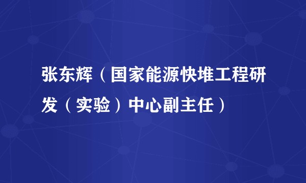 张东辉（国家能源快堆工程研发（实验）中心副主任）