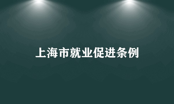 上海市就业促进条例