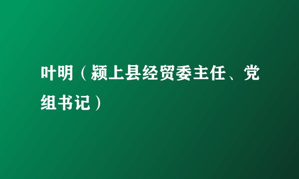 叶明（颍上县经贸委主任、党组书记）