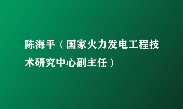陈海平（国家火力发电工程技术研究中心副主任）