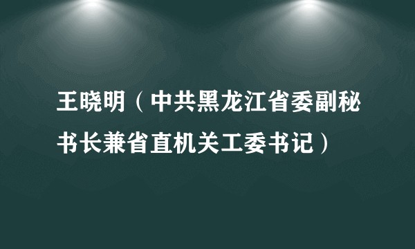 王晓明（中共黑龙江省委副秘书长兼省直机关工委书记）