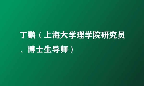 丁鹏（上海大学理学院研究员、博士生导师）
