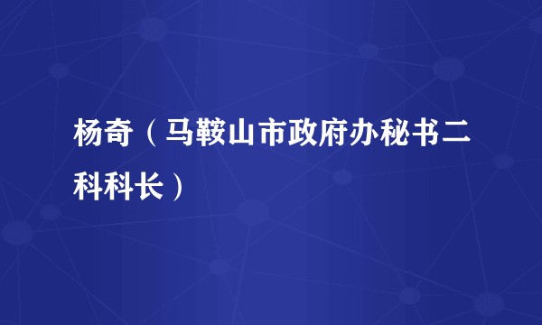 杨奇（马鞍山市政府办秘书二科科长）
