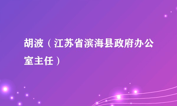 胡波（江苏省滨海县政府办公室主任）