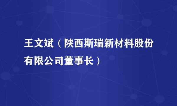 王文斌（陕西斯瑞新材料股份有限公司董事长）
