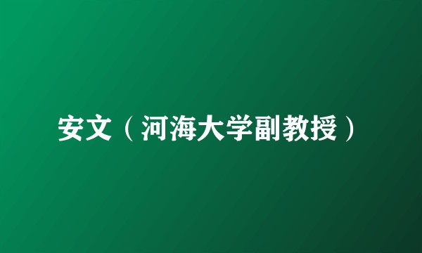 安文（河海大学副教授）