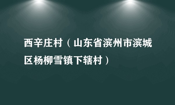 西辛庄村（山东省滨州市滨城区杨柳雪镇下辖村）