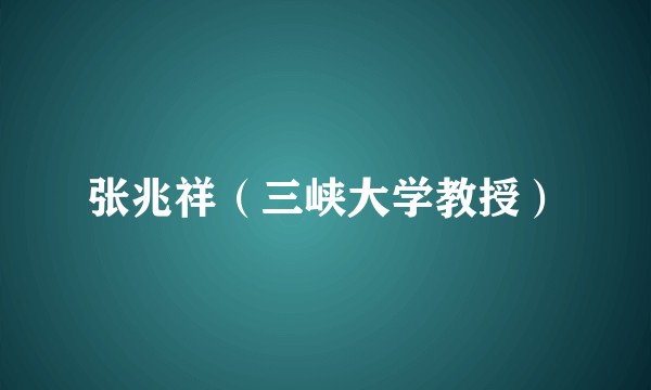 张兆祥(三峡大学教授)