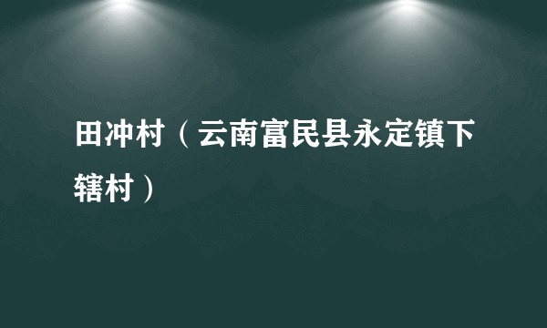 田冲村（云南富民县永定镇下辖村）