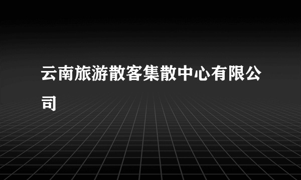云南旅游散客集散中心有限公司