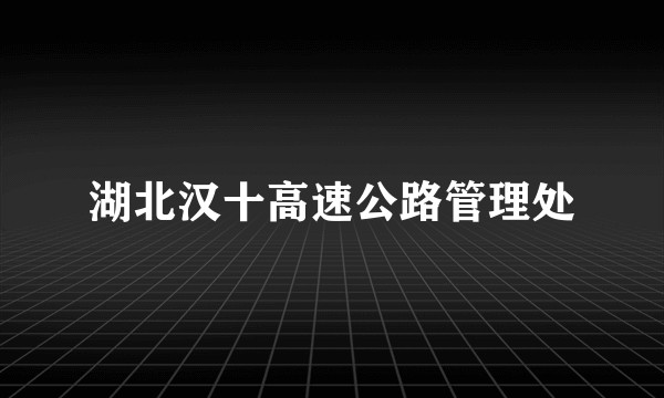 湖北汉十高速公路管理处