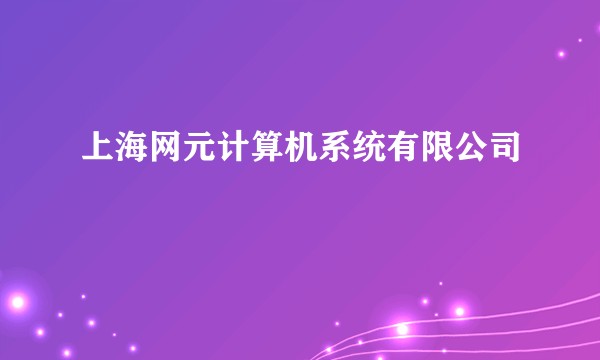上海网元计算机系统有限公司