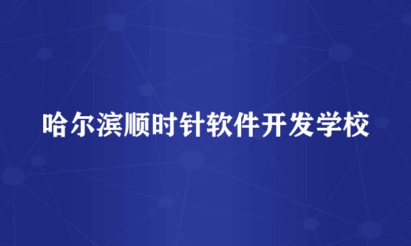 哈尔滨顺时针软件开发学校