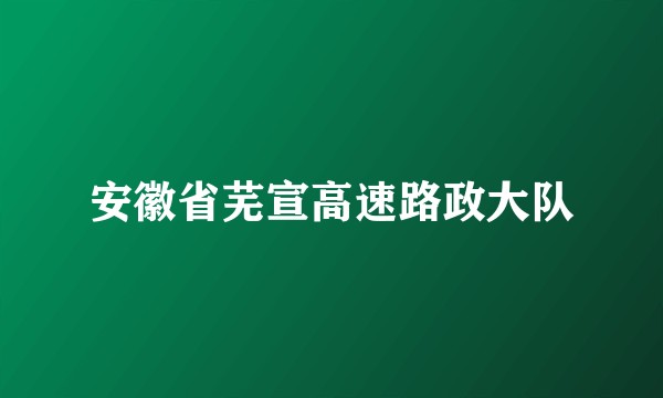 安徽省芜宣高速路政大队