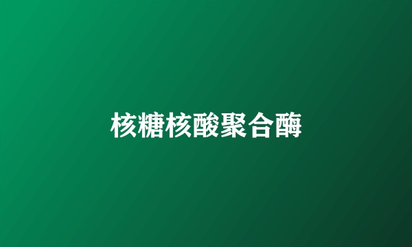核糖核酸聚合酶