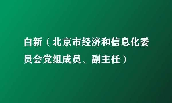 白新（北京市经济和信息化委员会党组成员、副主任）