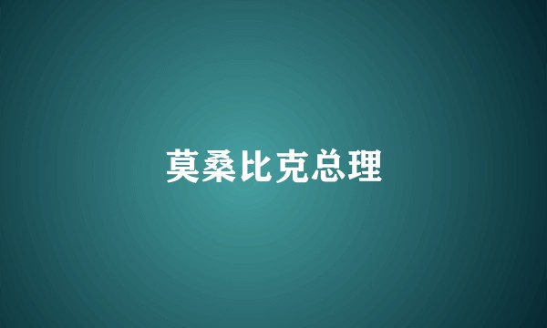 莫桑比克总理